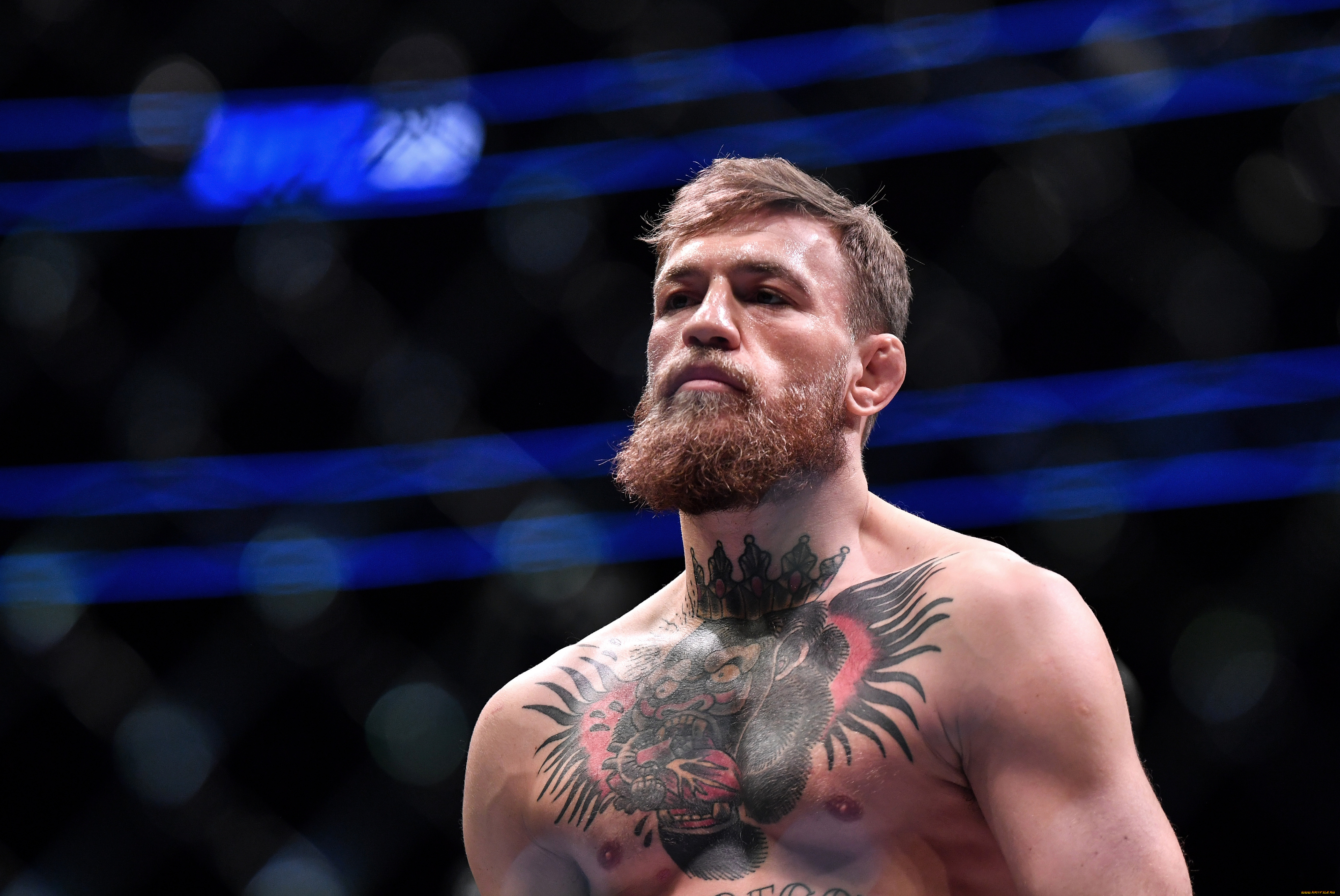 , mix fight, , , , , , , , , , ufc, , , , , , , 